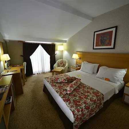 Siir Boutique Hotel Denizli (Denizli)