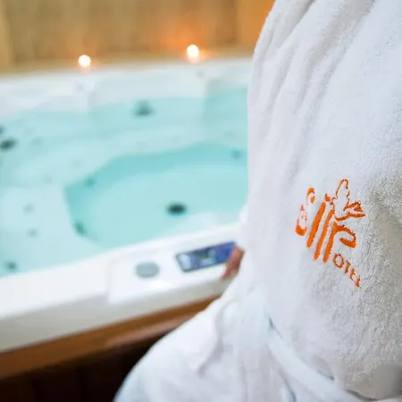 Hotel Siir Boutique Denizli (Denizli)